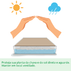 Kit Mudas | Cebolinha